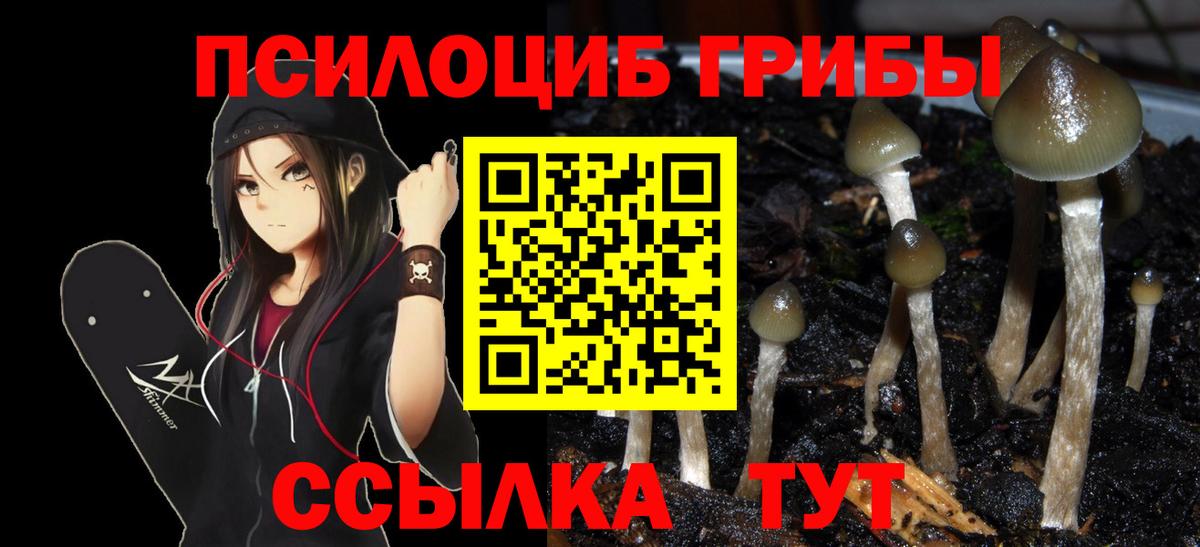 Галлюциногенные грибы мицелий  Галлюциногенные грибы прущие грибы  Вход с VPN  купить наркоту  Копейск 